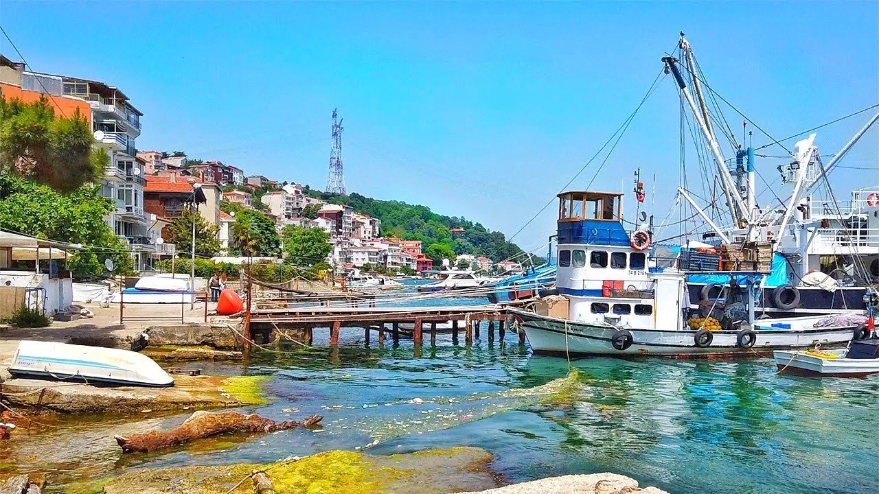 Purchase Property In Sariyer